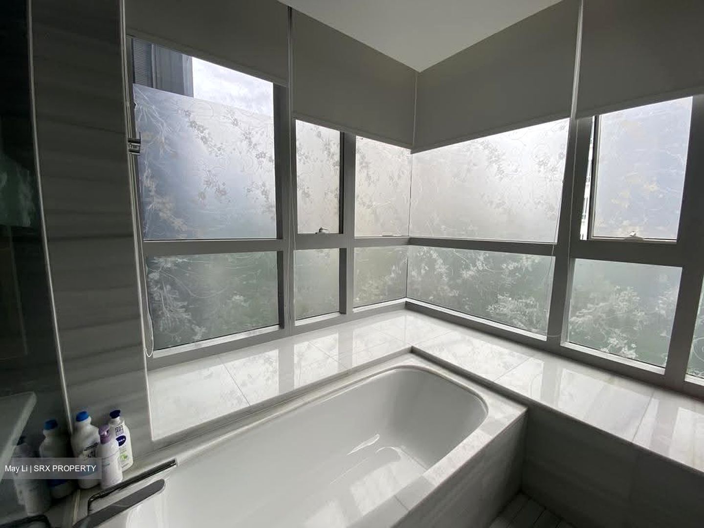 Hallmark Residences (D10), Condominium #613672351